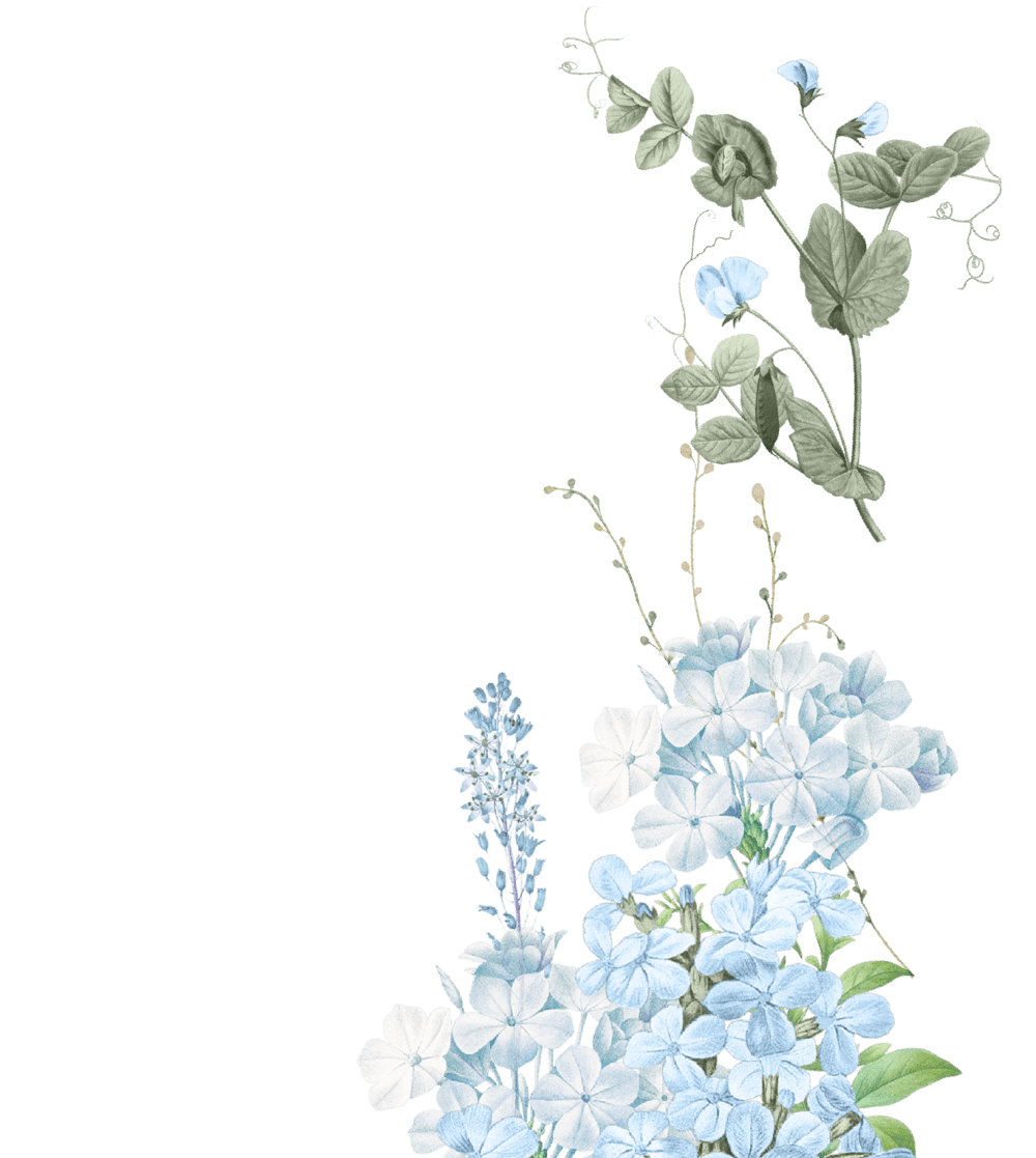 flower right (2).png